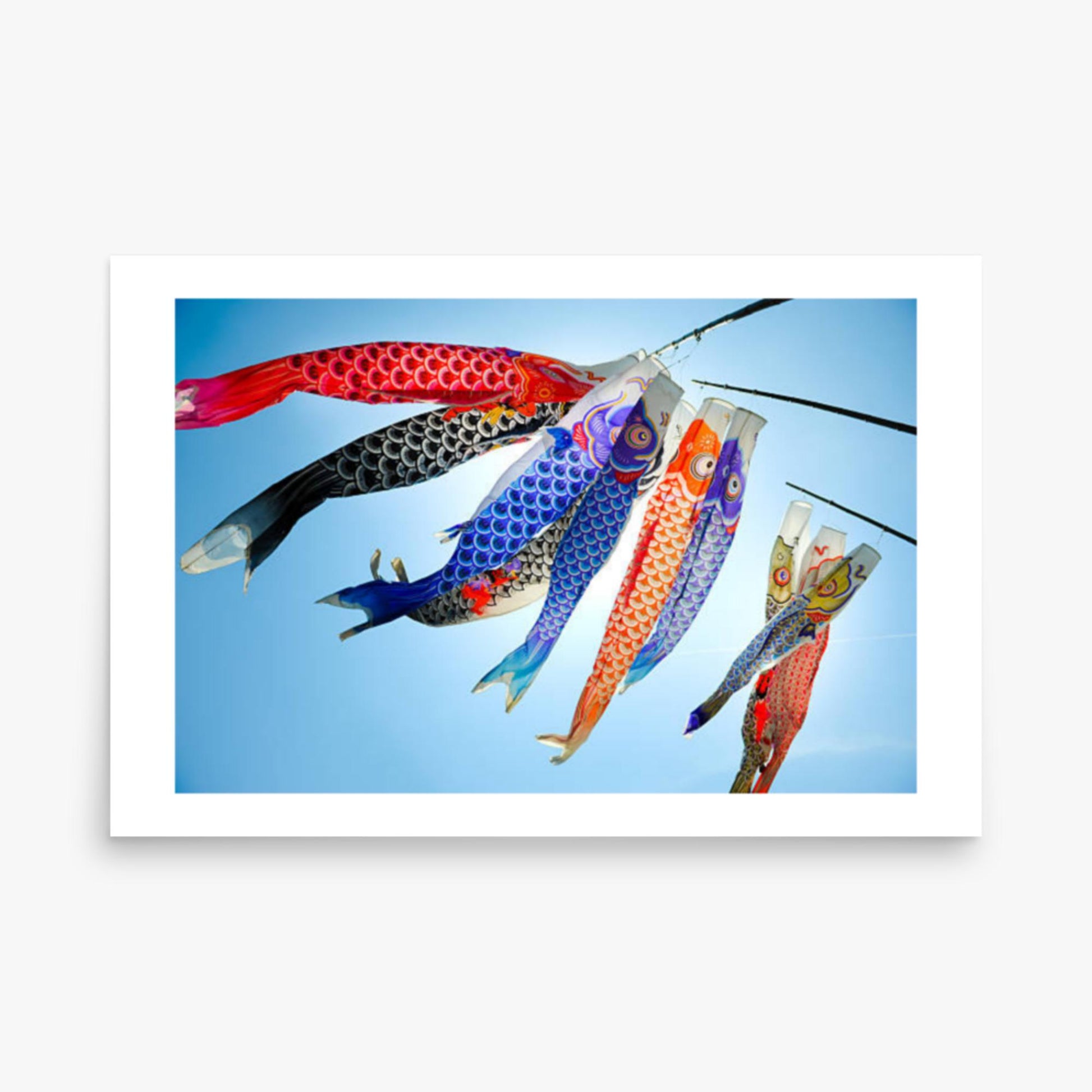 Koinobori 24x36 in Poster